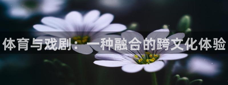 3377体育官网下载:体育与戏剧:一种融合的跨文化体验