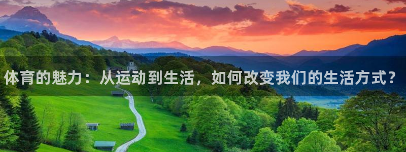 3377体育官方平台体育:体育的魅力:从运动到生活,如何改变