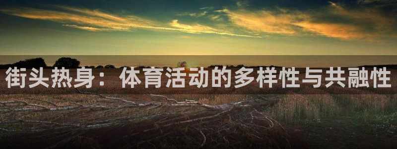 3377体育官网下载平台APP:街头热身:体育活动的多样性与